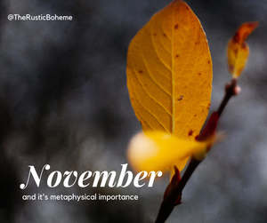 November is a Month For Setting New Things in Motion